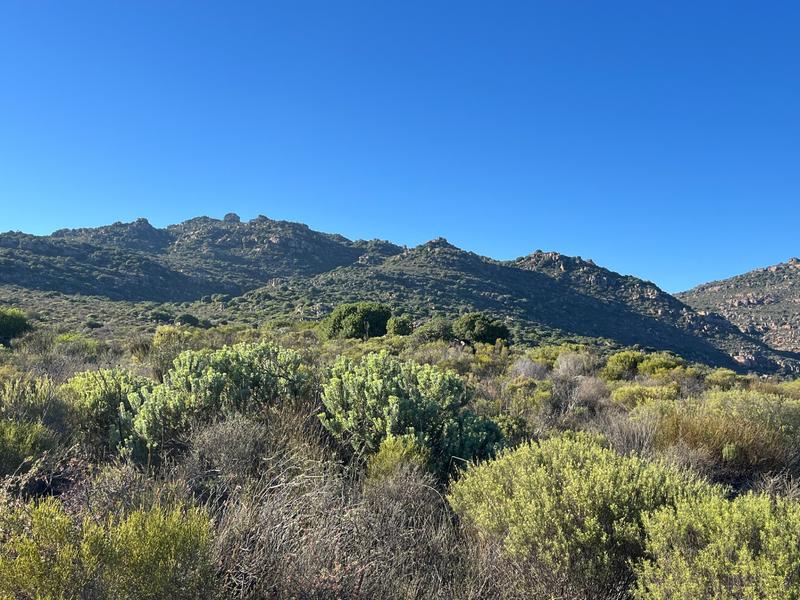 4 Bedroom Property for Sale in Clanwilliam Western Cape